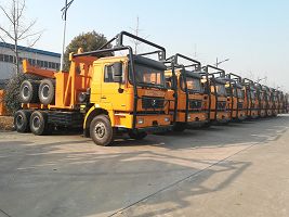 Logging transport,Truck